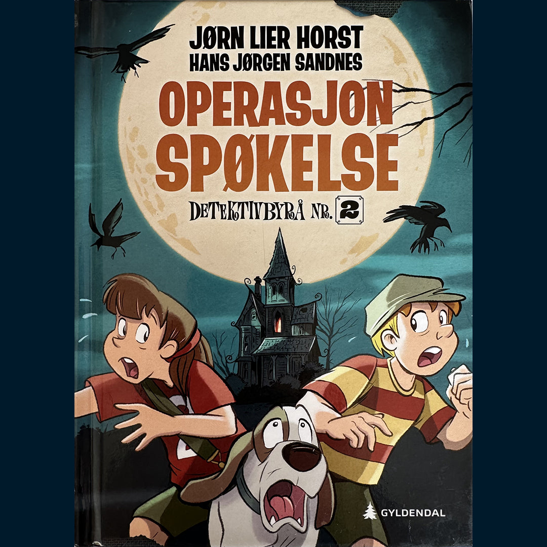 Horst, Jørn Lier: Operasjon Spøkelse - Detektivbyrå nr 2