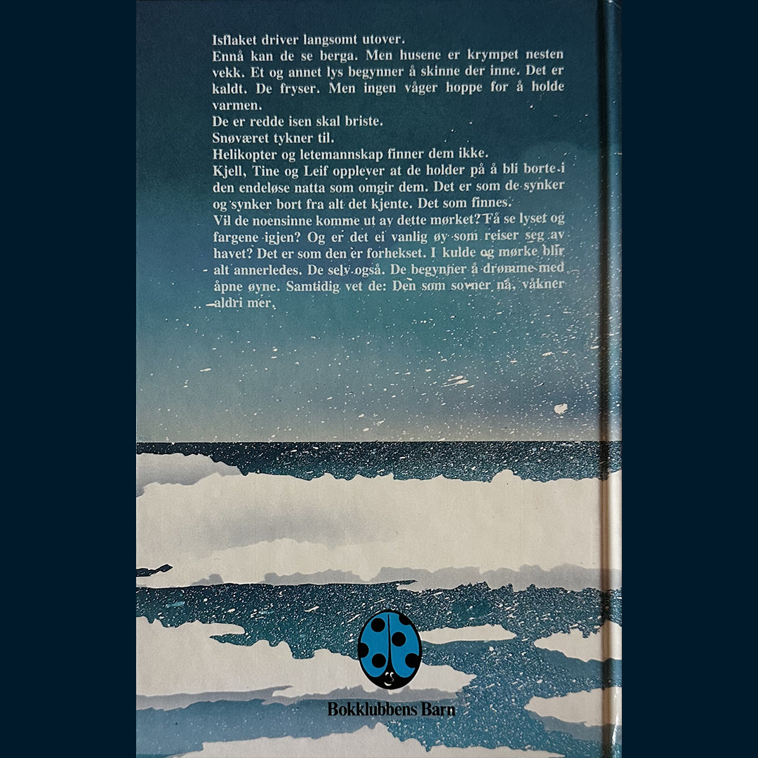 Sørlle, Steinar: Isnatt