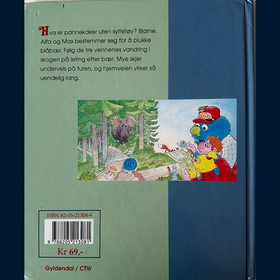 Dahle, Gro: Bare blåbær, Bjarne