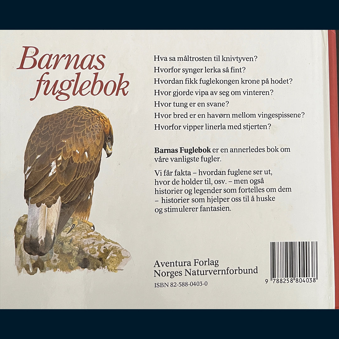 Falk, Bisse og Kallenberg, Lena: Barnas Fuglebok (Bind 1)