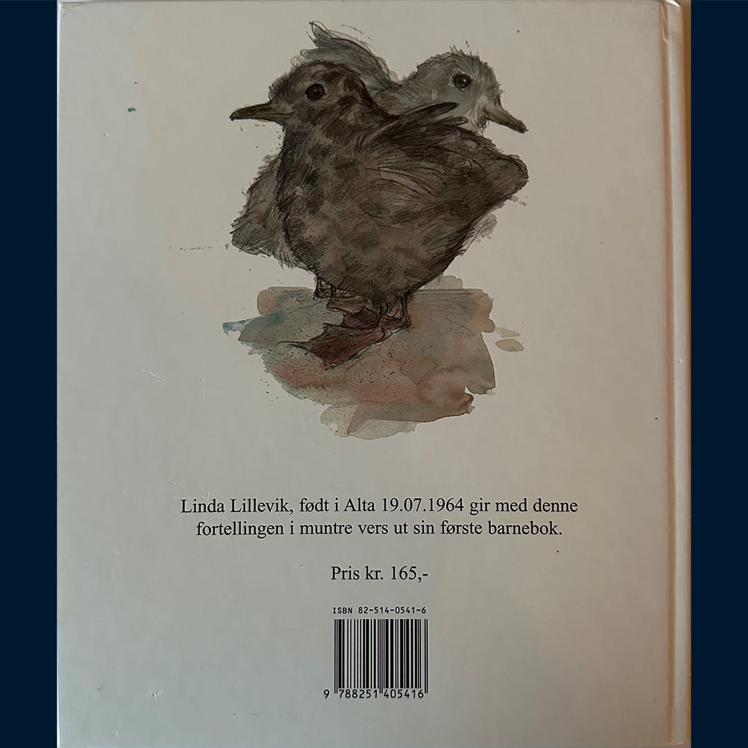 Lillevik, Linda: Måsungen Åsmund på farefull ferd i Fiskekroken