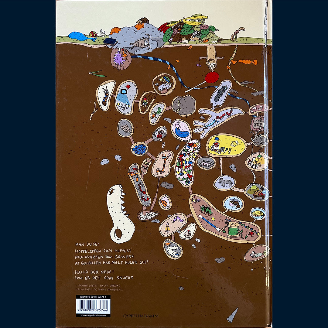 Fiske, Anna: Hallo der nede!