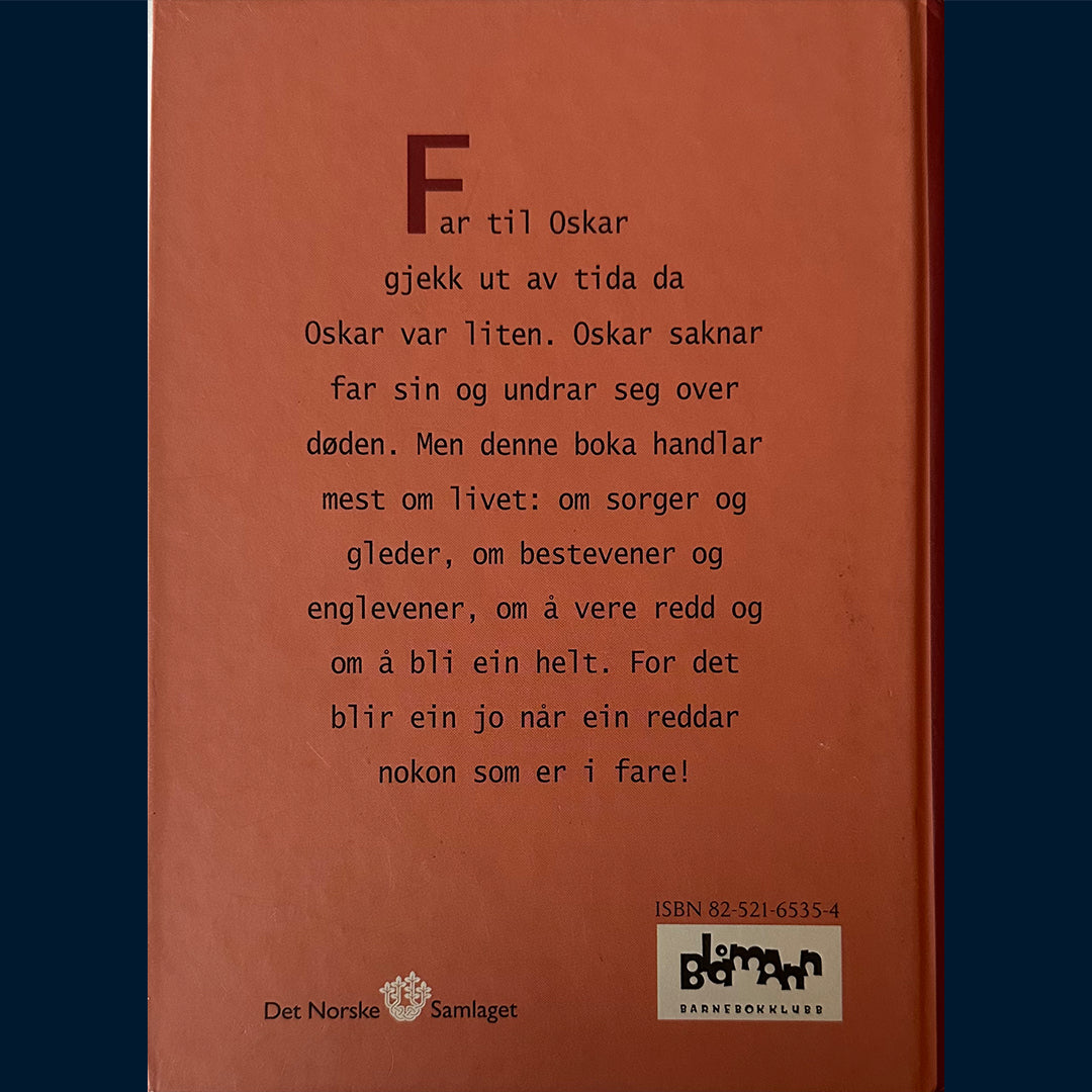 Bjørlo, Geirdis: Kort til ein engel