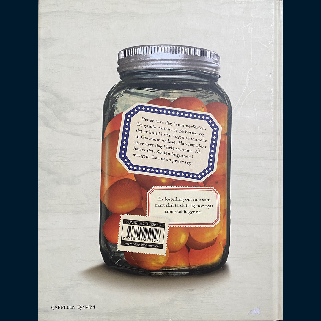 Hole, Stian: Garmanns sommer