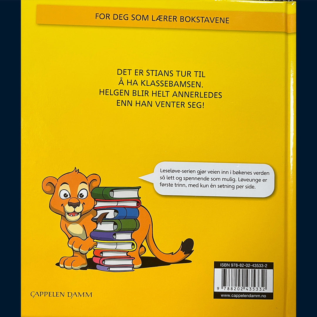 Johnsen, Janne Aasebø: Bamsen