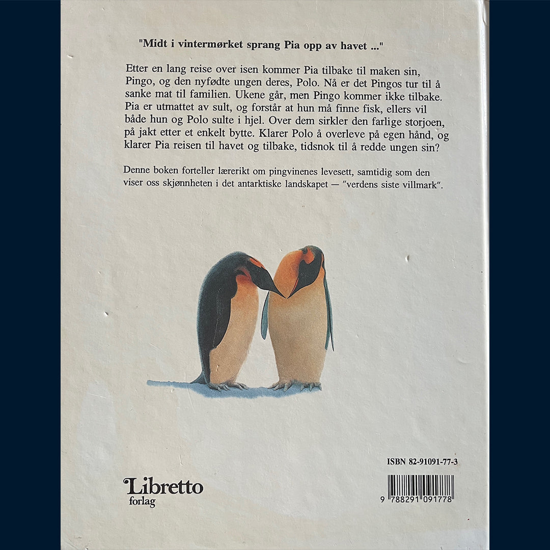 Geraghty, Paul: Polo