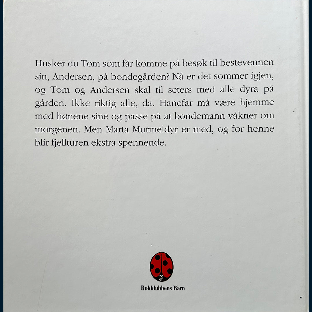 Skjelbred, Margaret: Tom og Andersen drar til fjells
