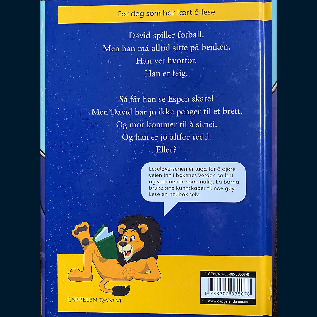 Rossebø, Arild: David skater