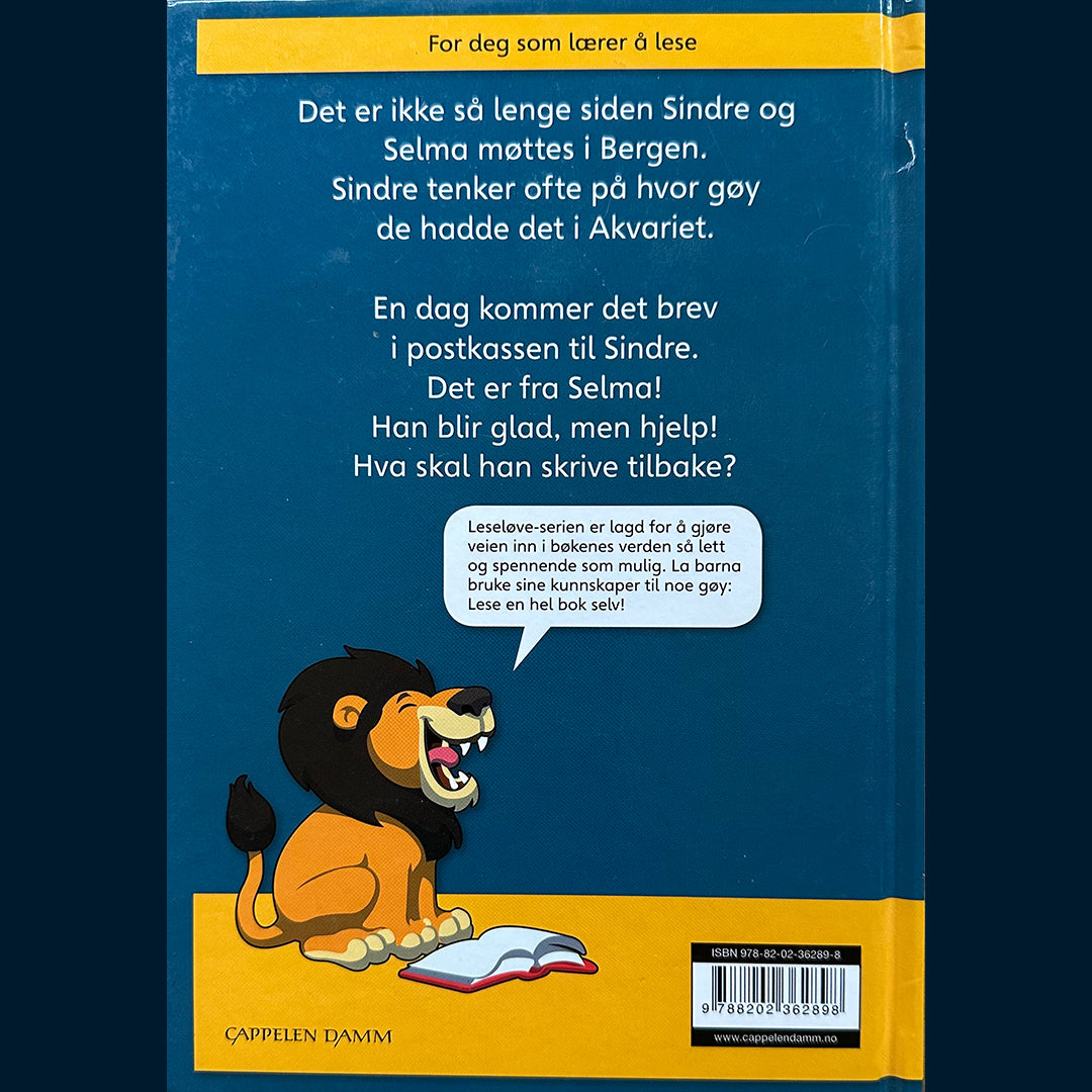 Hølleland, Øistein: Brevet til Selma