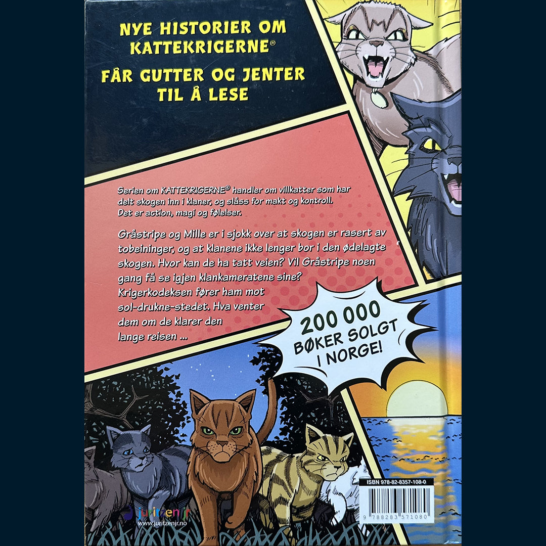 Hunter, Erin: Kattekrigerne (Tegneserie) - Gråstripes Eventyr 3 - Hjemreisen