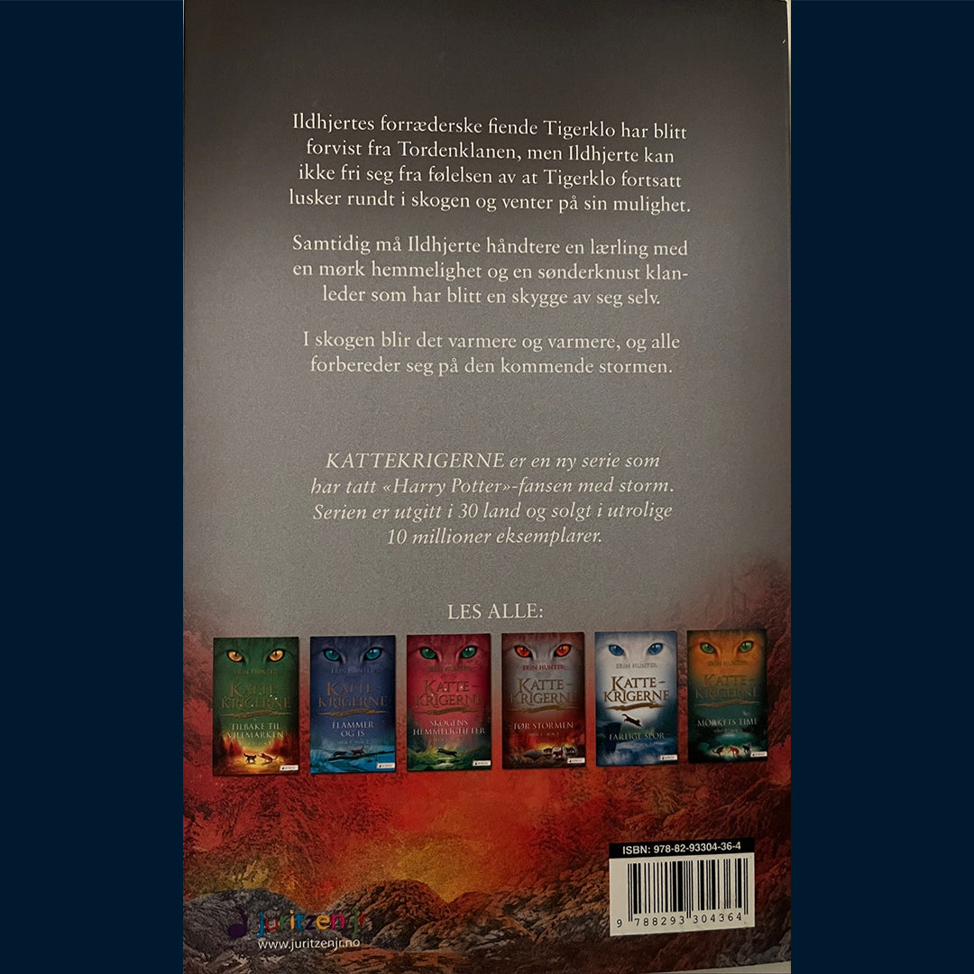 Hunter, Erin: Kattekrigerne - før stormen (Serie 1 - bok 4)