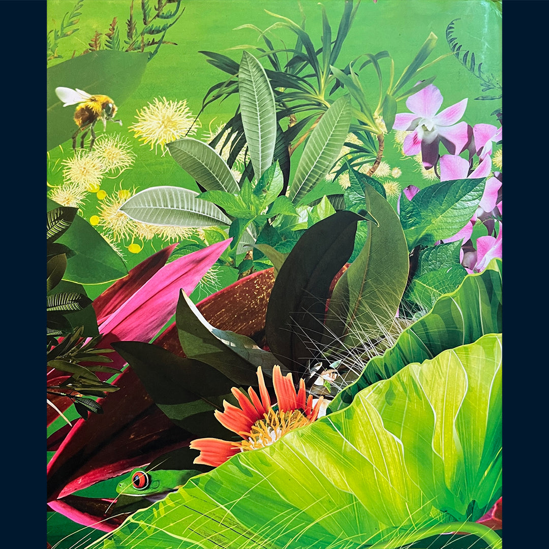 Cullimore, Stan: Mine første fakta - Supert Sykehus