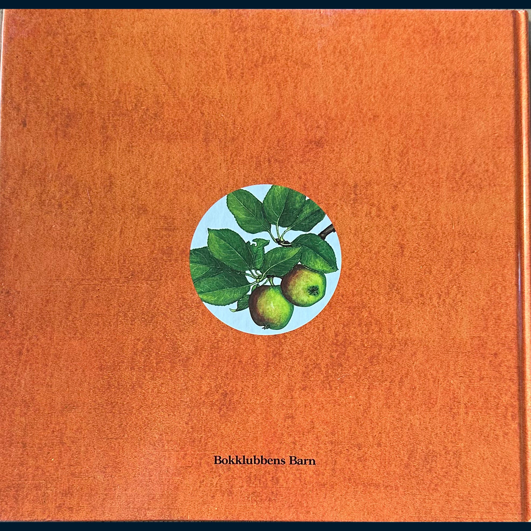 Lucht, Irmgard: Trær i allslags vær - året rundt