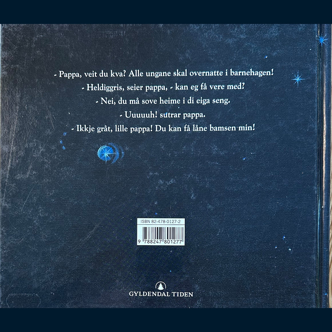 Sande, Hans: Nattbarnehagen