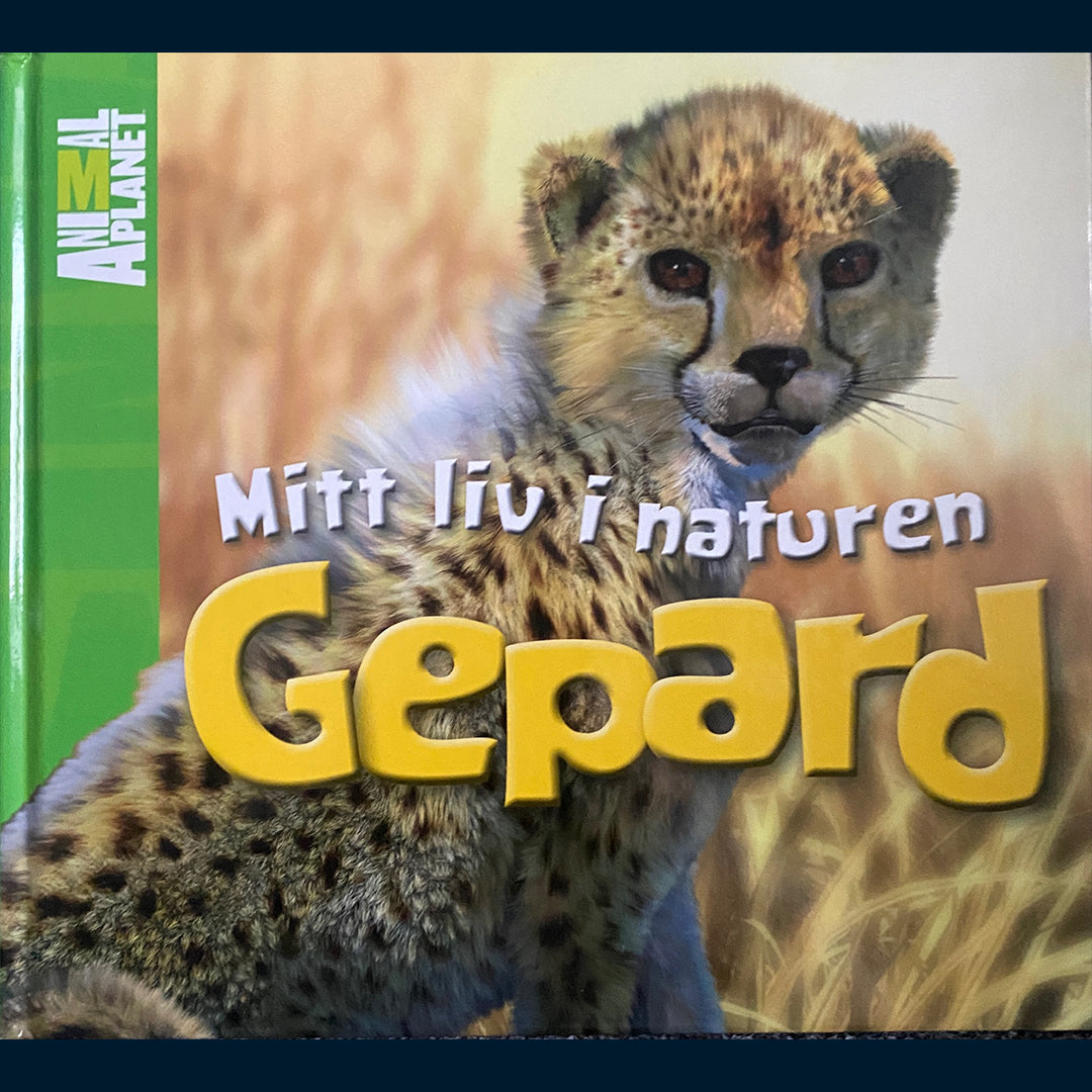 Costain, Meredith: Mitt liv i naturen - Gepard