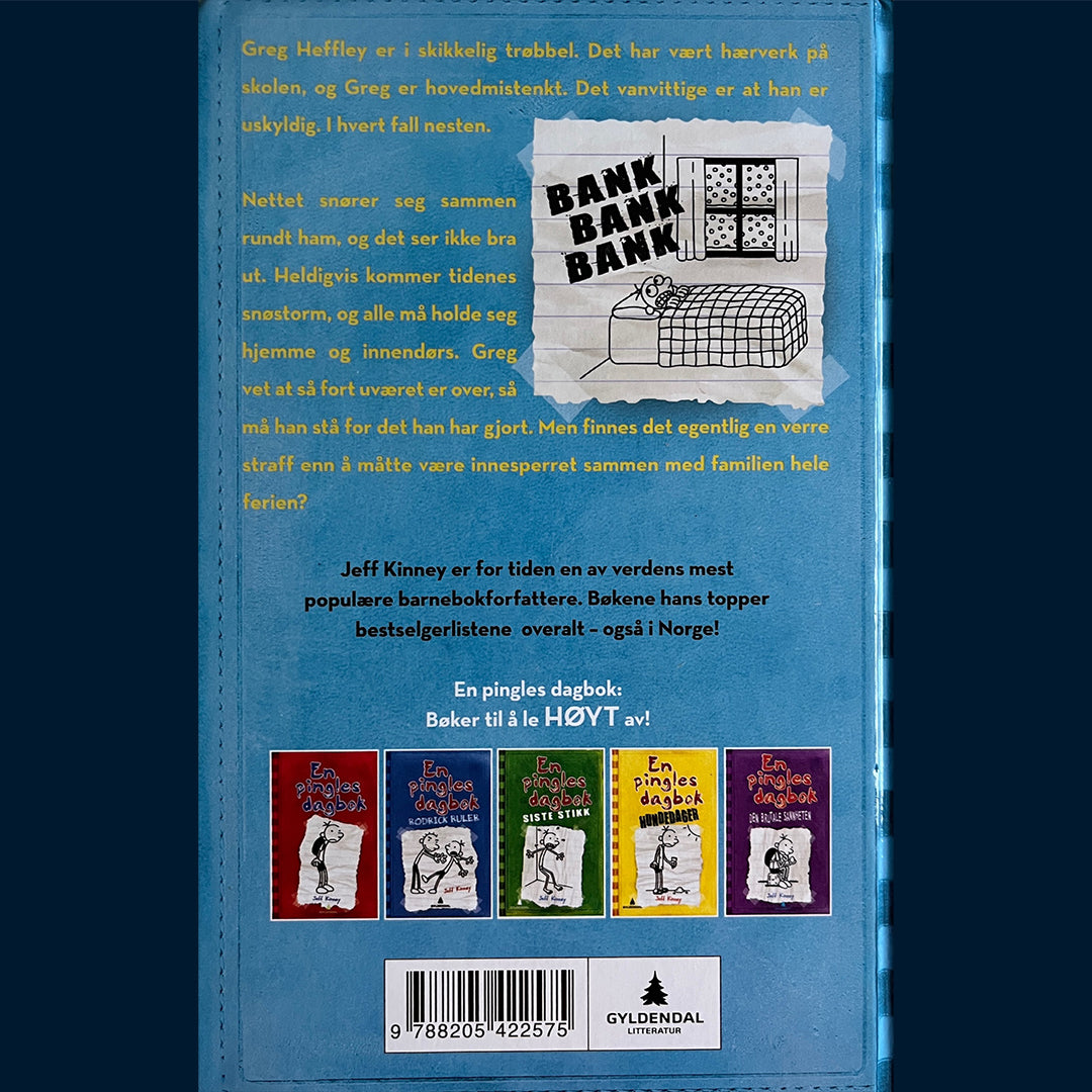 Kinney, Jeff: En pingles dagbok (6) Brakkesyke (Innb.)