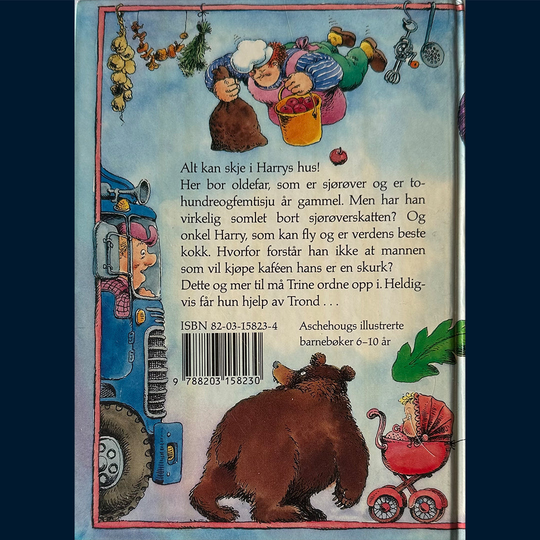 Osmundsen, Mari: Harrys hus