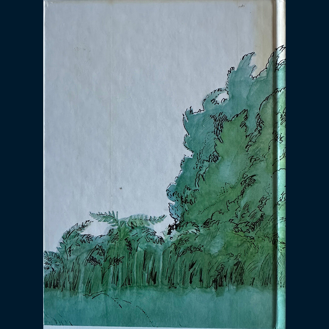 Haugen, Tormod: Zeppelin