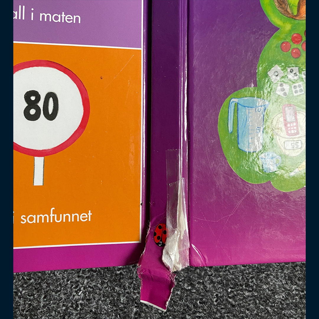 Landsem, Inger; Tallglede - en side om hvert tall 1-100