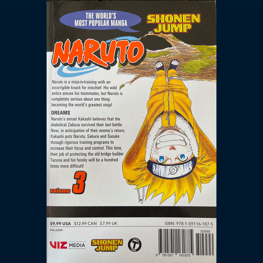 Kishimoto, Masashi: Naruto (Vol 3) - Dreams