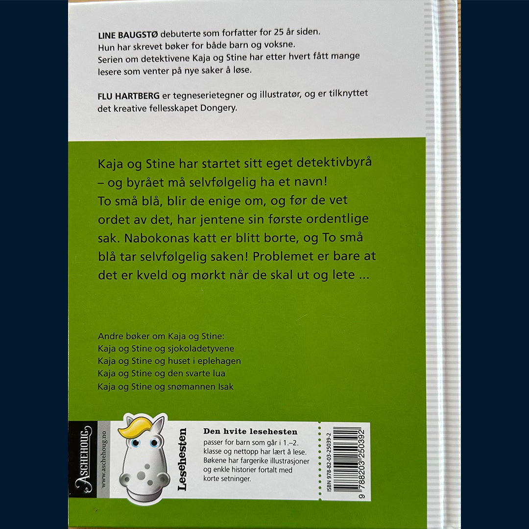 Baugstø, Line: Kaja og Stine tar saken