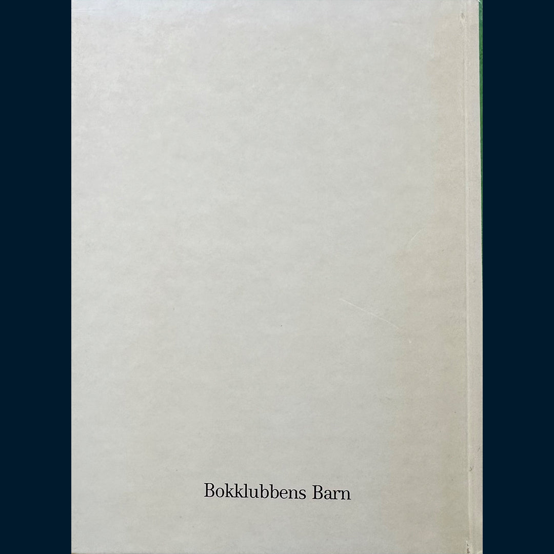 Nöstlinger, Christine: Ein mann til mamma