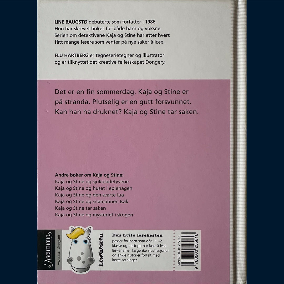 Baugstø, Line: Kaja og Stine og gutten som forsvant