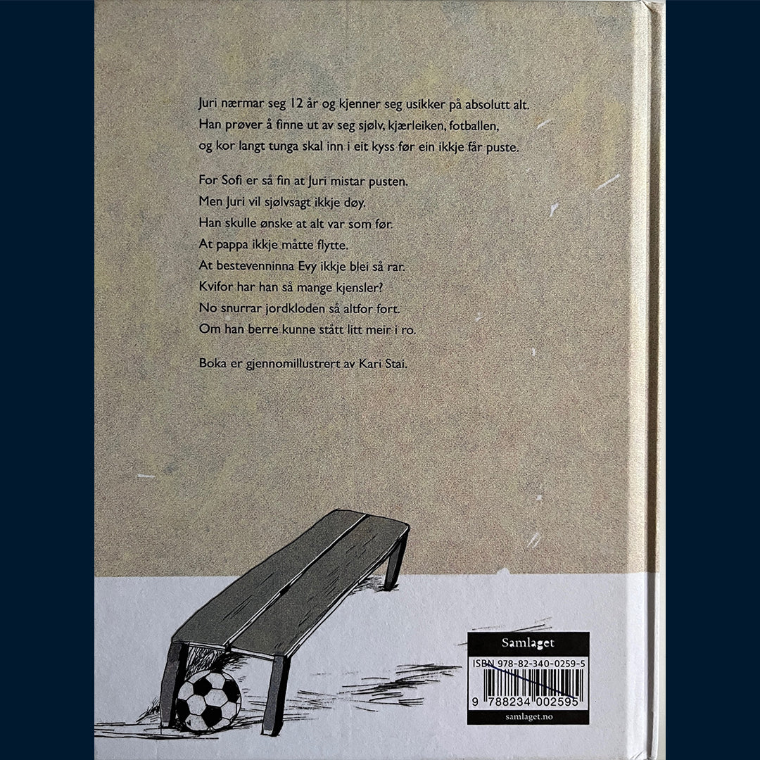 Stai, Kari: Passe happy