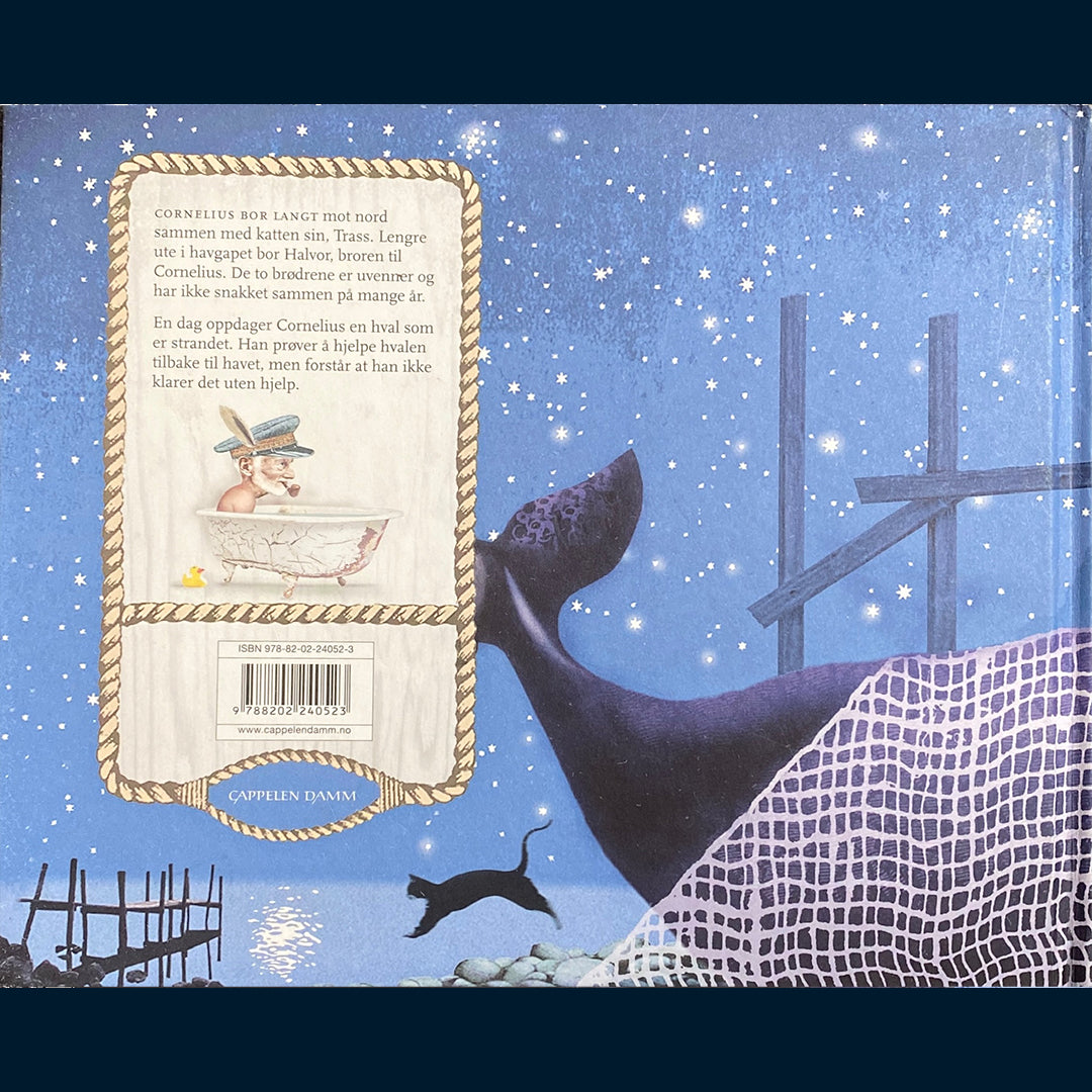 Hole, Stian: Den gamle mannen og hvalen