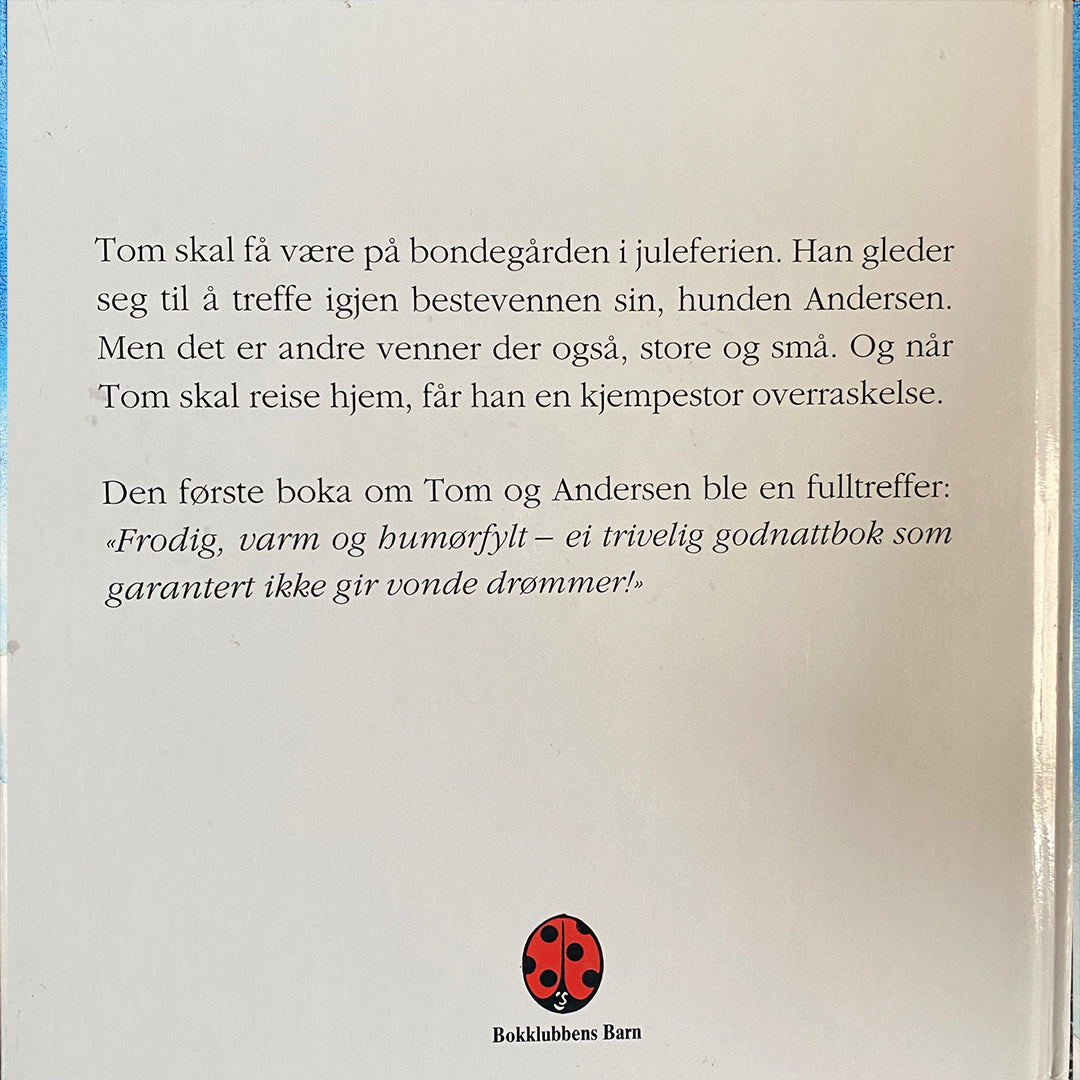 Skjelbred, Margaret: Tom og Andersen feirer jul