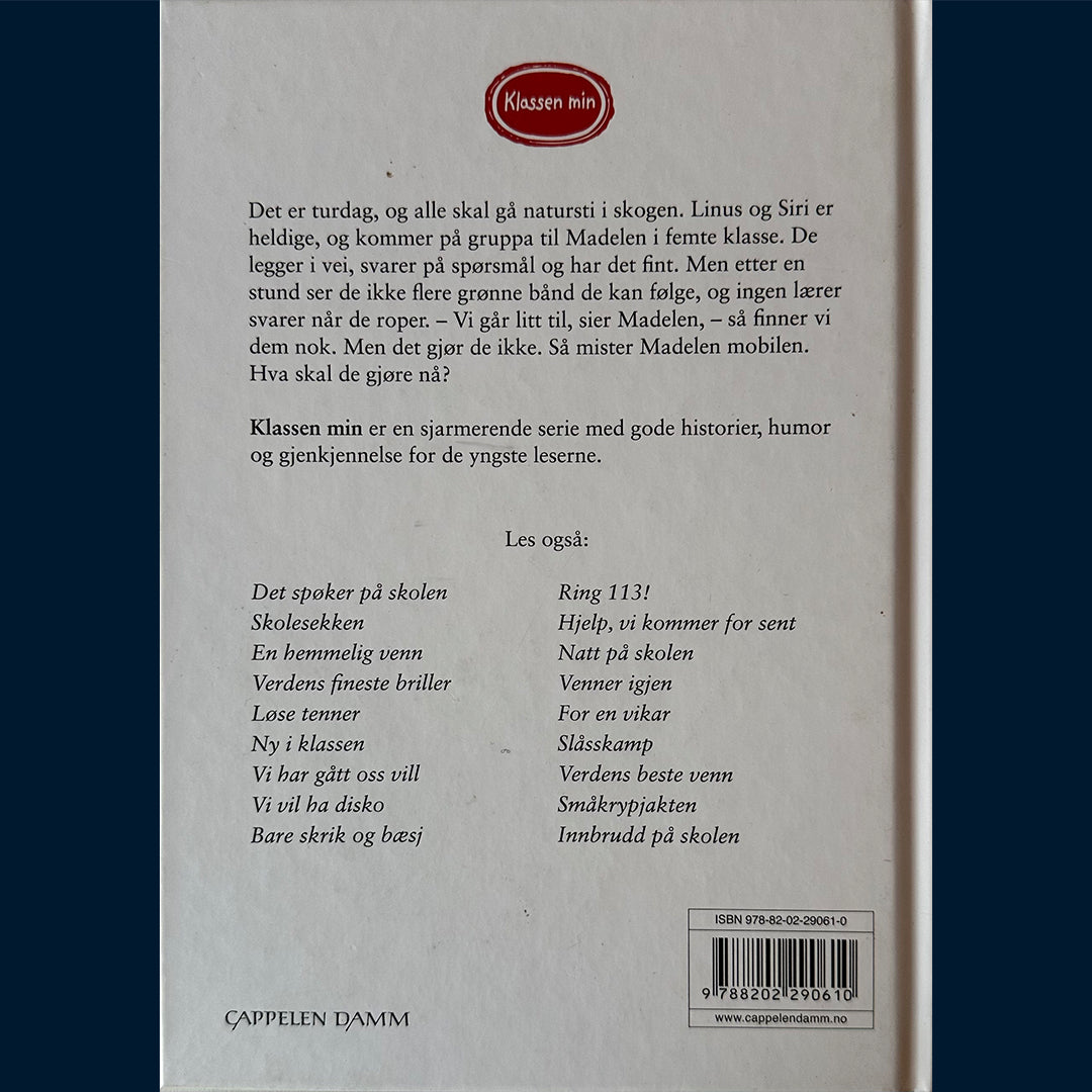 Bross, Helena: Klassen min - Vi har gått oss vill!