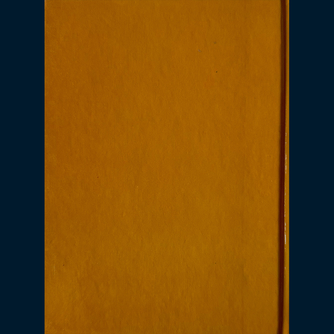 Linde, Gunnel: Den hvite stenen