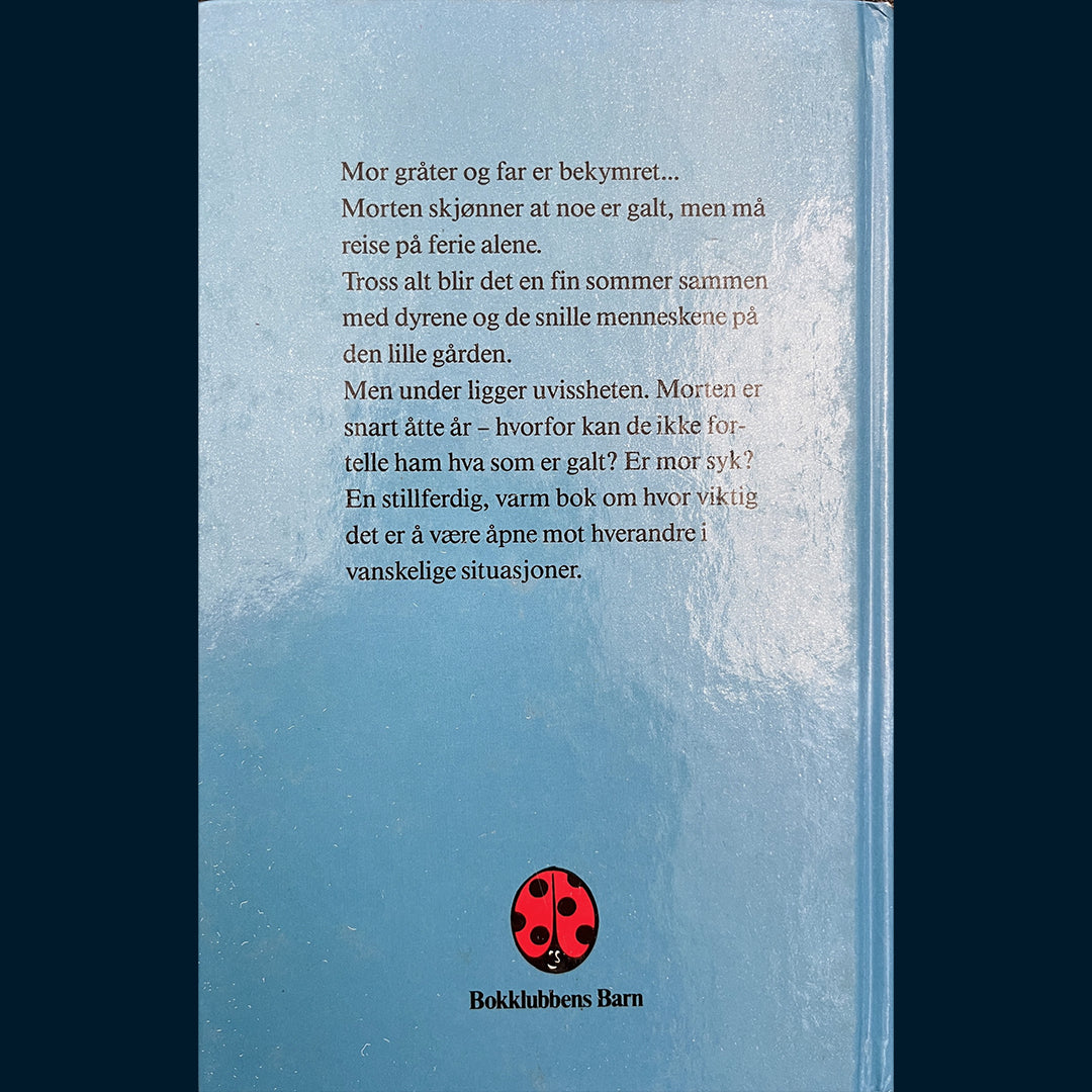 Evensen, Solveig: Ikke si det til Morten