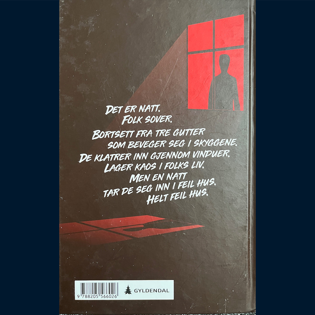 Svingen, Arne: I natt er vi usynlige