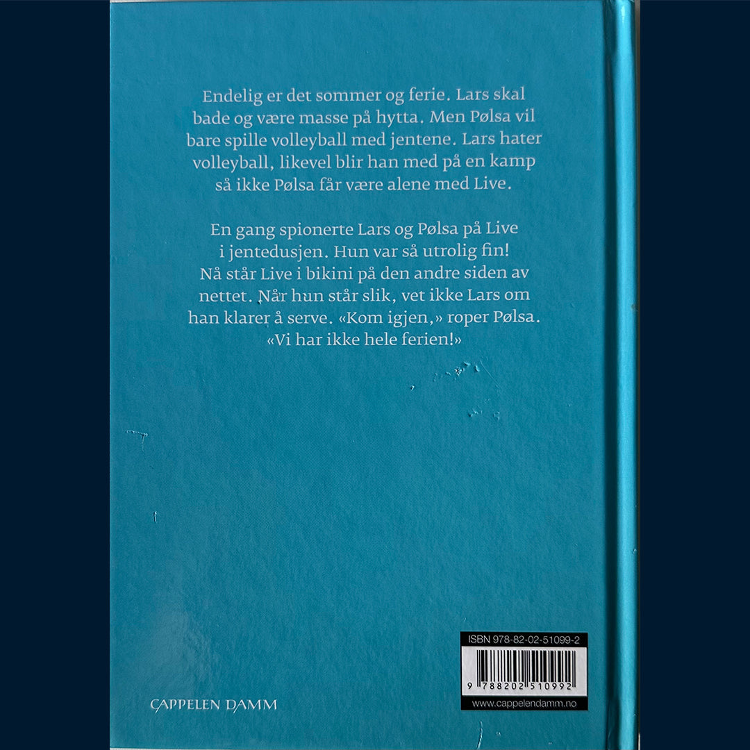 Ersland, Bjørn Arild: 27 grader på stranda