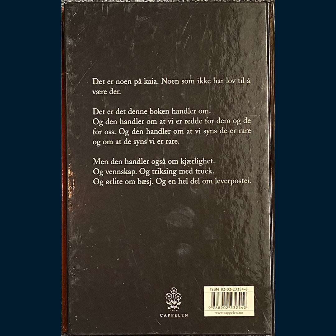 Loe, Erlend: Kurt koker hodet