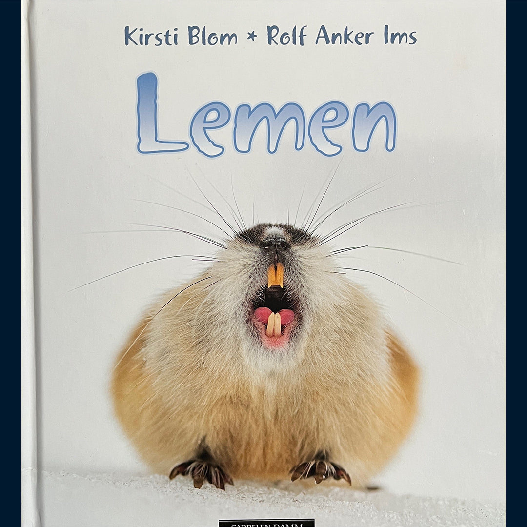 Blom, Kirsti: Lemen
