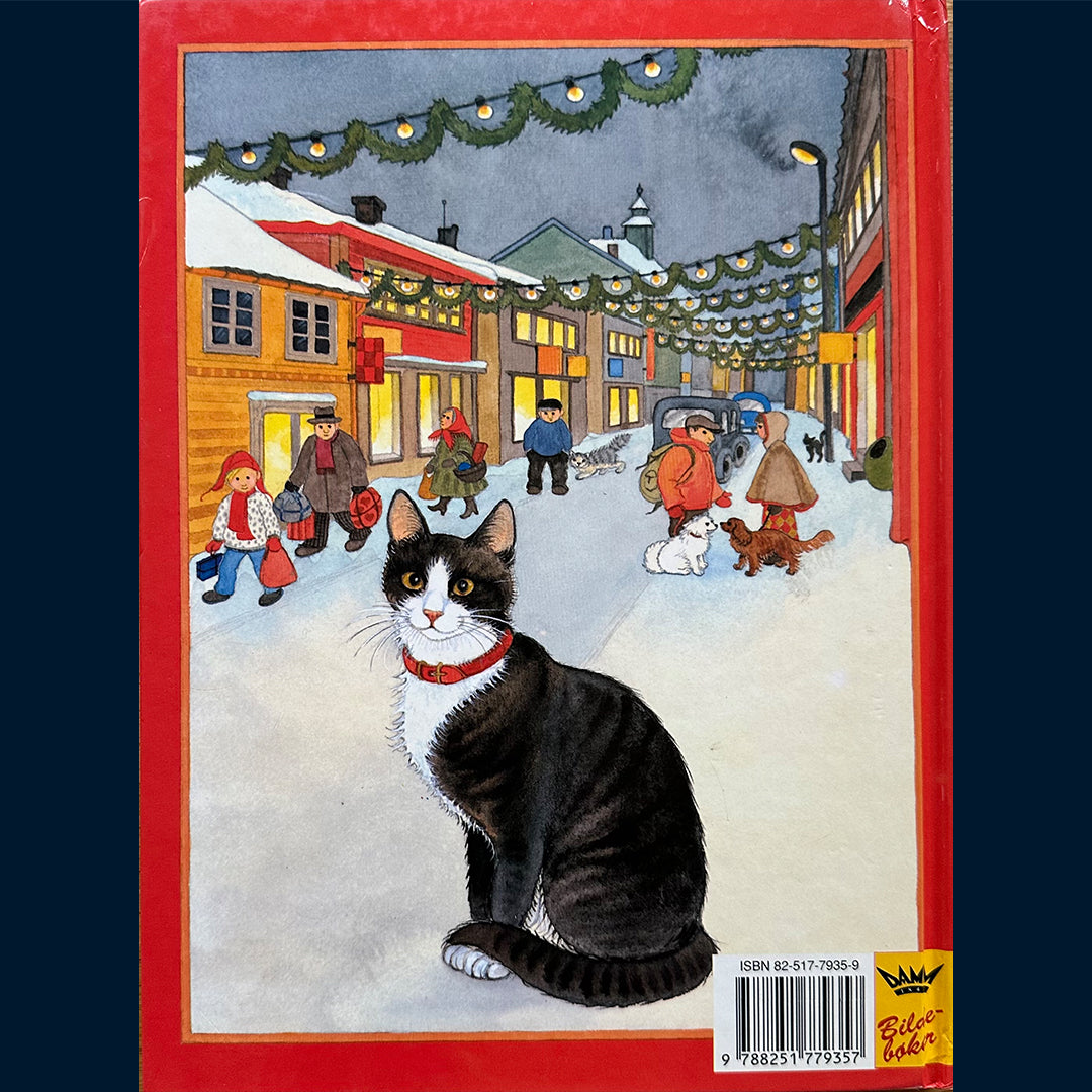 Kierulf, Anne: Nicolines kattunger