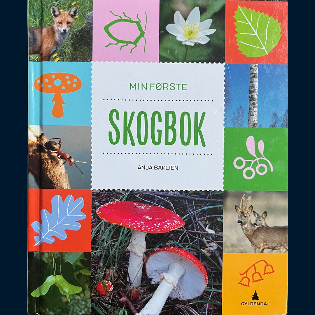 Baklien, Anja: Min første Skogbok
