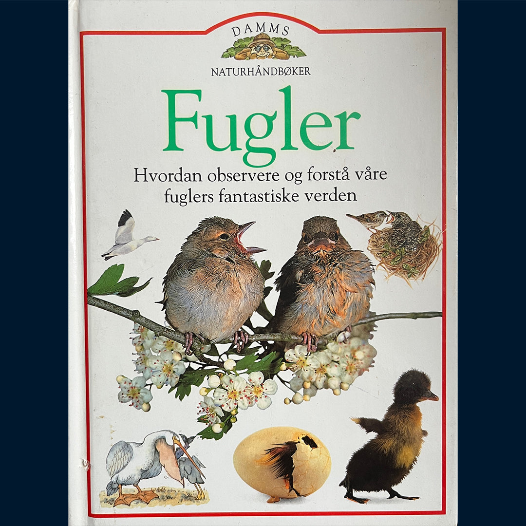 Bailey, Jill og Burnie, David: Fugler - Damms naturhåndbøker