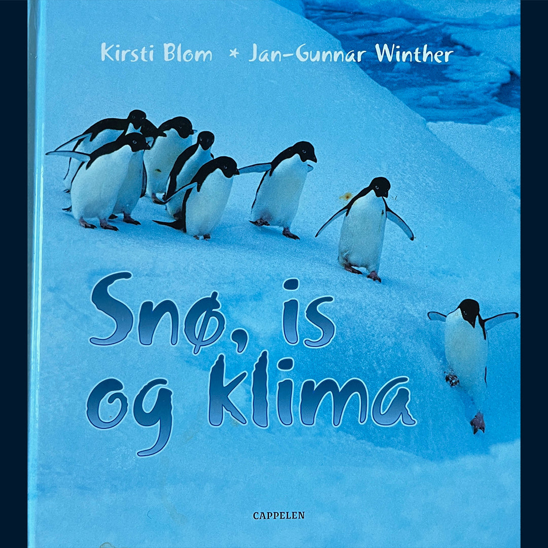 Blom, Kirsti: Snø, is og klima