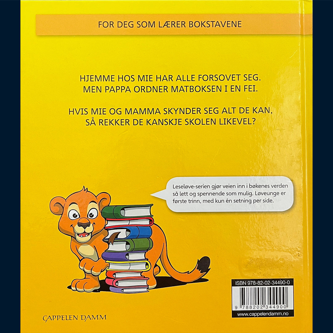 Christiansen, Pål H.: Matboksen