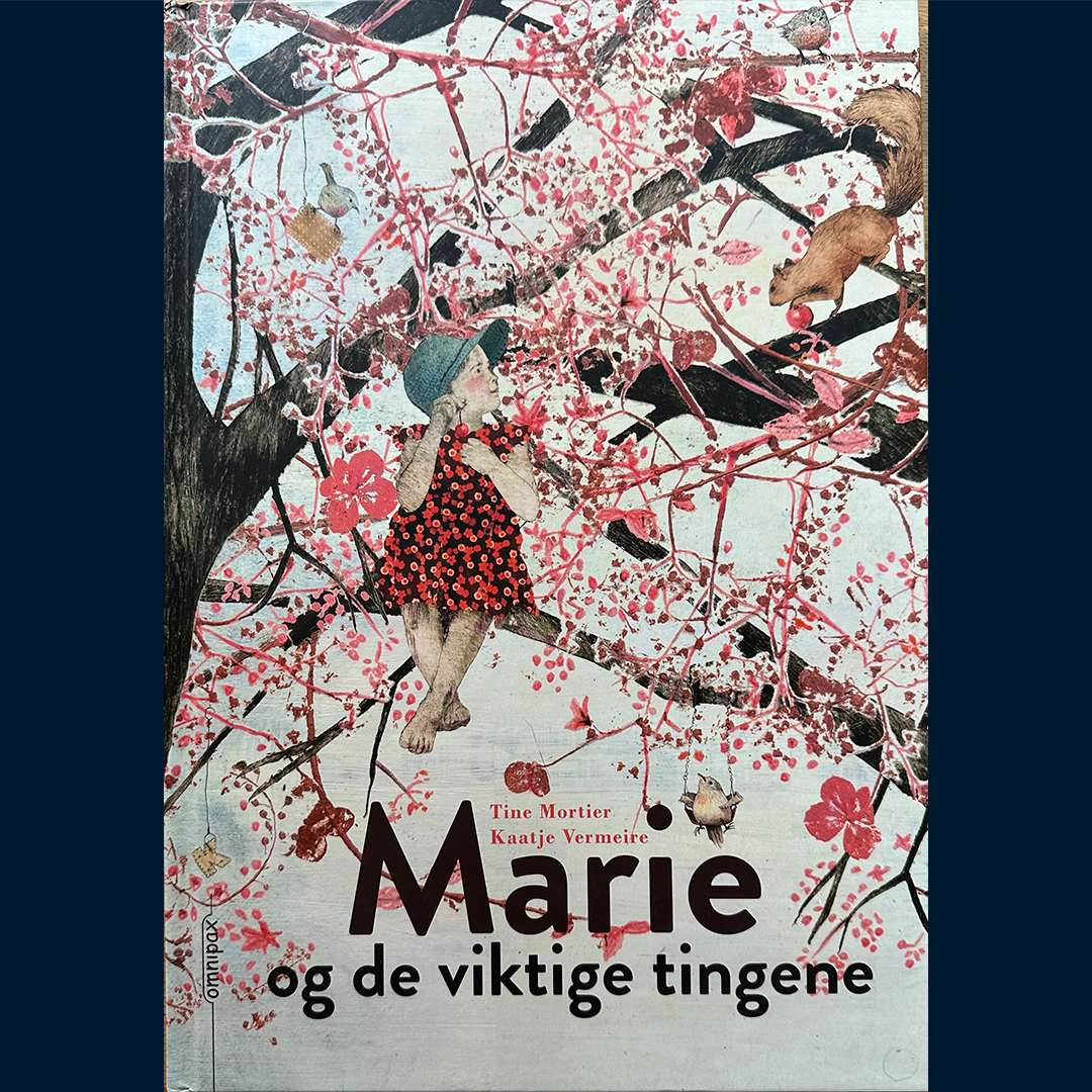 Mortier, Tine: Marie og de viktige tingene
