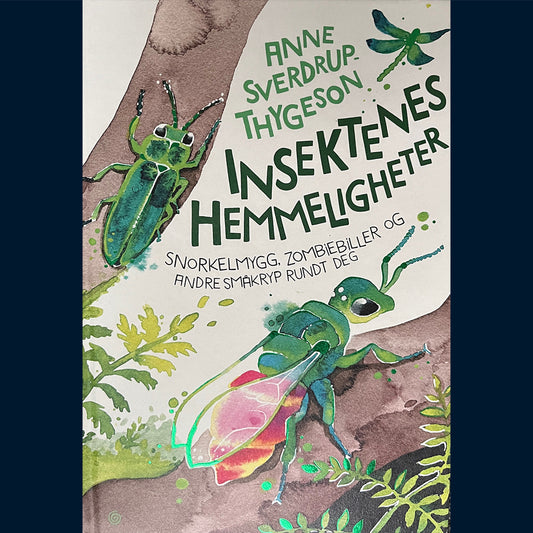 Thygeson, Anne Sverdrup: Insektenes hemmeligheter