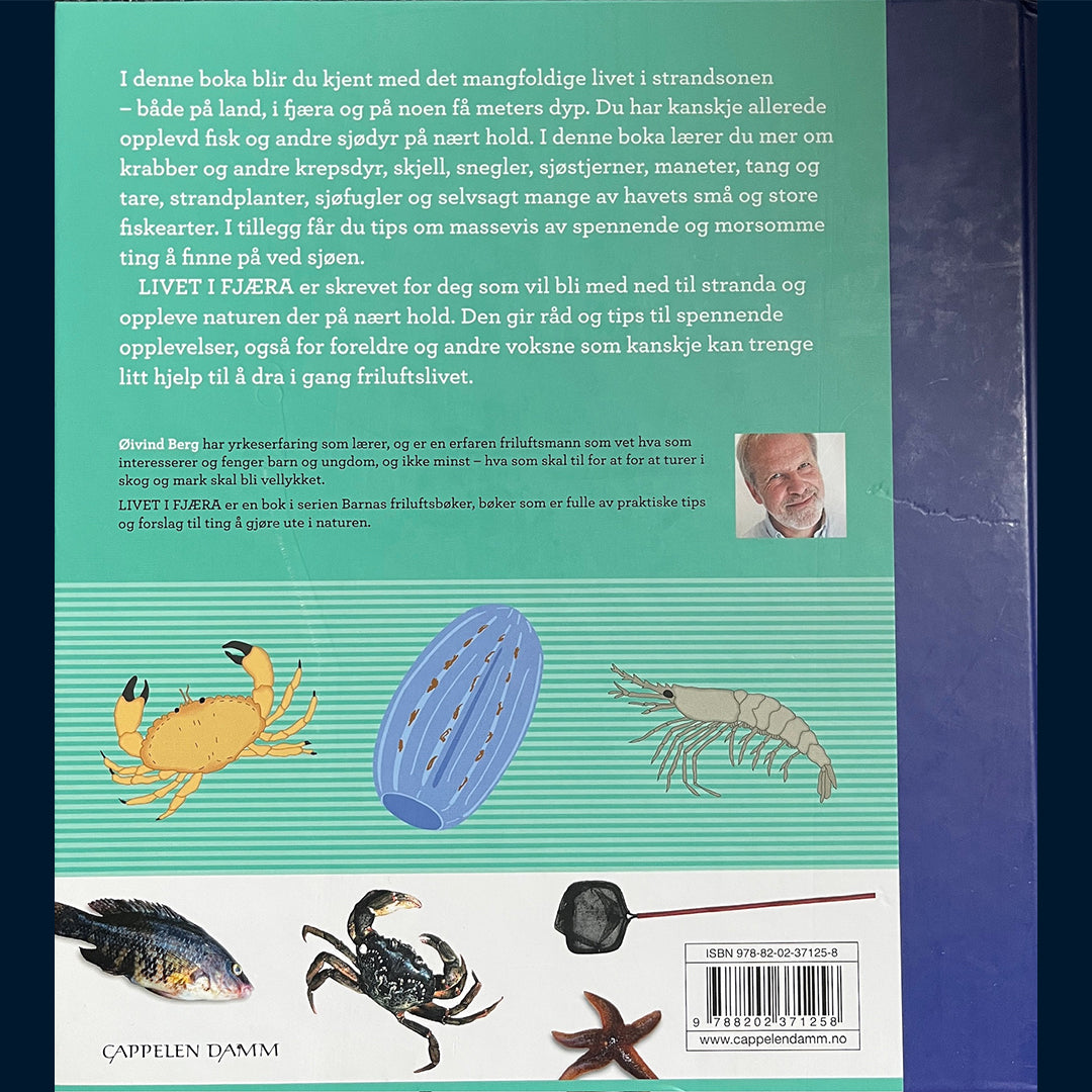 Berg, Øyvind : Livet i fjæra