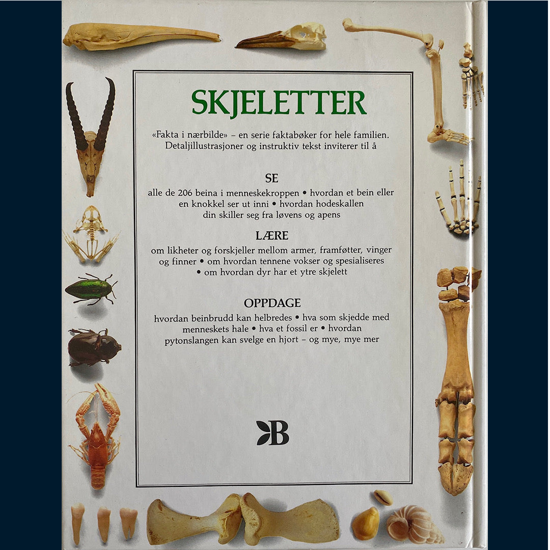 Fakta i nærbilde - Skjeletter