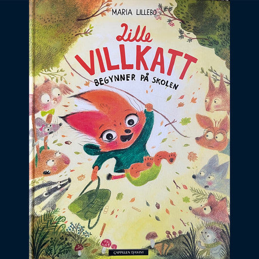 Lillebo, Maria: Lille Villkatt begynner på skolen