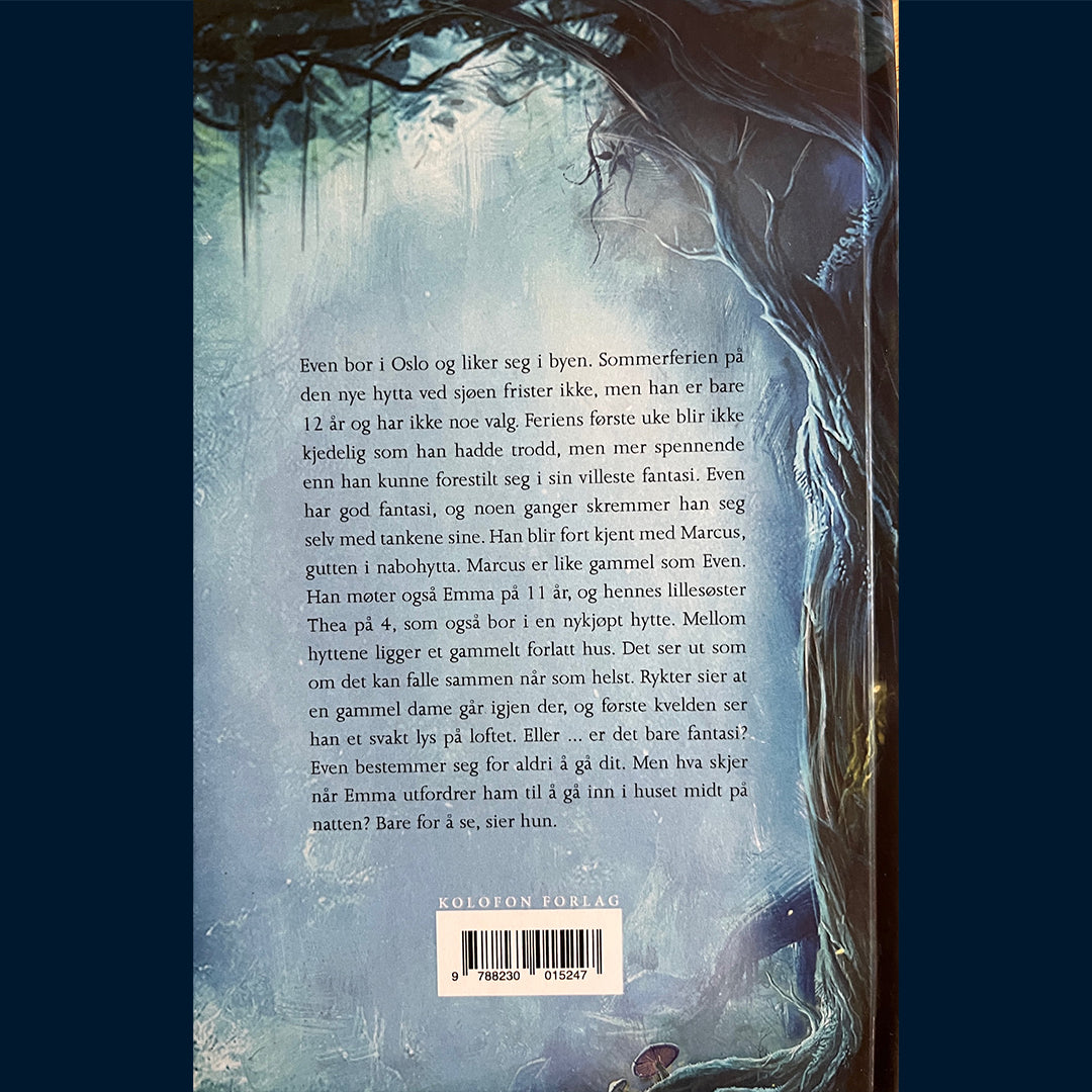 Olsen, Sigrid: Trippelgjengen og loftsmysteriet(1)