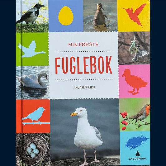 Baklien, Anja: Min første Fuglebok
