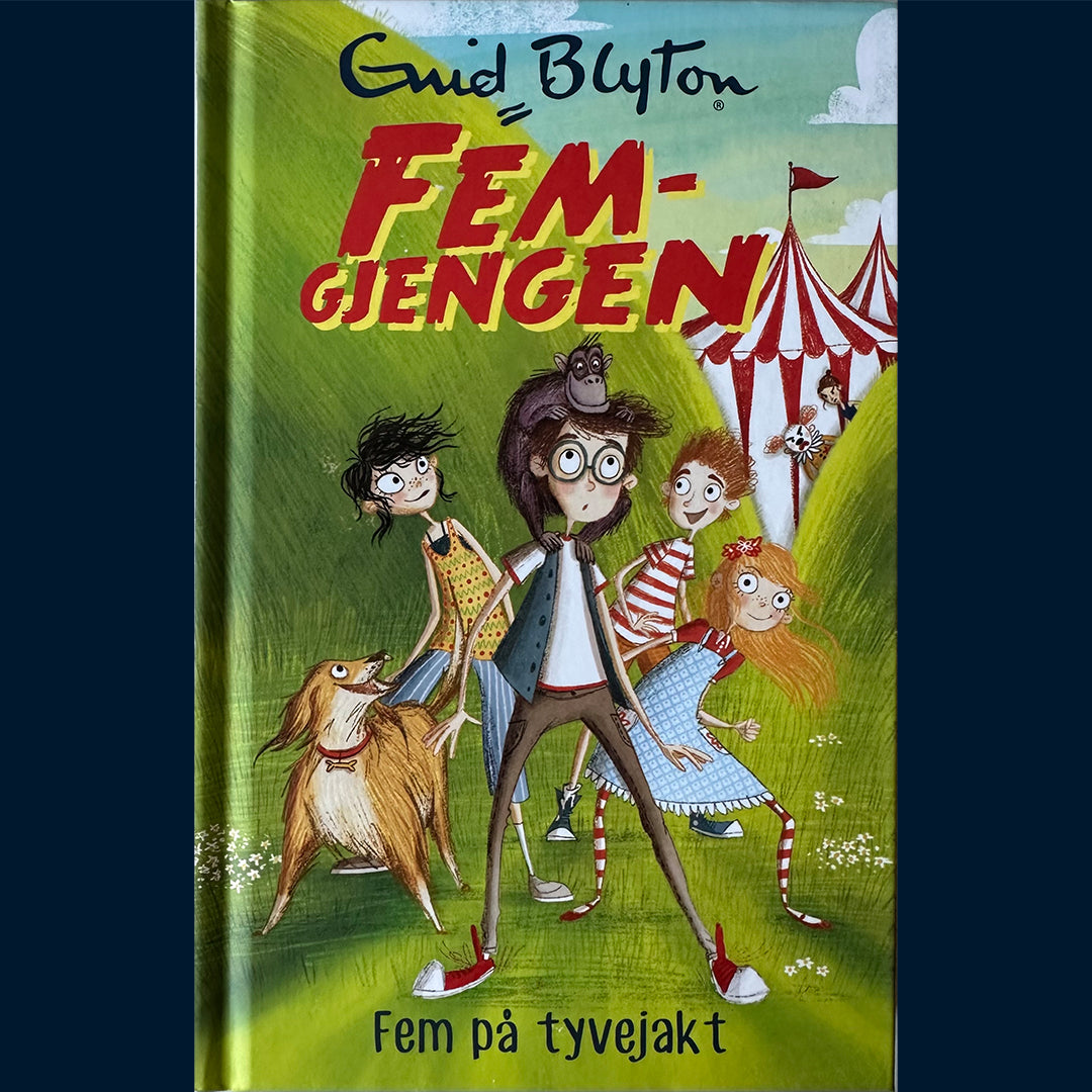 Blyton, Enid: Fem-gjengen (5) - Fem på tyvejakt